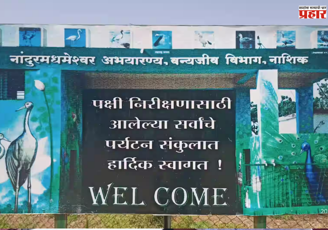Nashik News : नांदूर मध्यमेश्वरमध्ये 6,215 पक्ष्यांची नोंद
