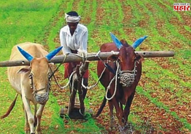 सामूहिक शेती गरजेची