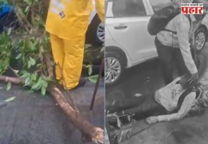 Andheri Tree Fall : मुंबईत आणखी एक दुर्घटना! अंधेरीत फांदी कोसळून पादचारी गंभीर जखमी