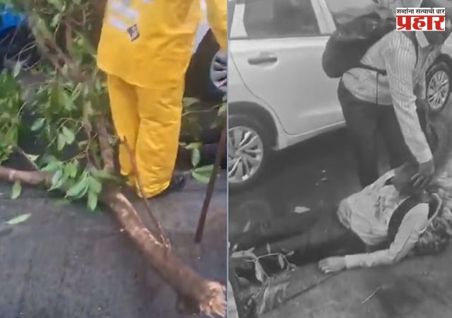 Andheri Tree Fall : मुंबईत आणखी एक दुर्घटना! अंधेरीत फांदी कोसळून पादचारी गंभीर जखमी