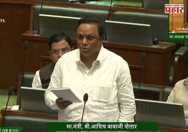 Ashish Shelar : रिफायनरी किंवा अणुऊर्जा प्रकल्प कातळशिल्पांच्या आड येणार नाहीत!