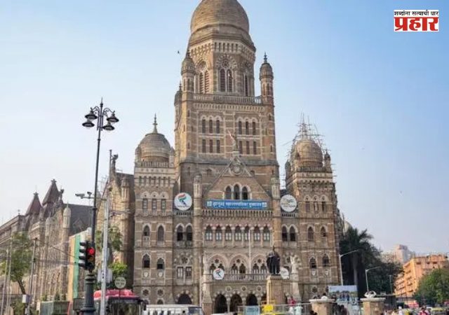 BMC Action : वृक्षांना इजा आणि परवानगी पेक्षा अधिक झाडांची छाटणी करणाऱ्यांविरोधात महापालिका आक्रमक
