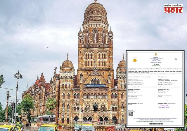 Birth Certificate : जन्म दाखल्याच्या प्रमाणपत्र वितरण प्रक्रियेचे नियमित होणार लेखापरिक्षण