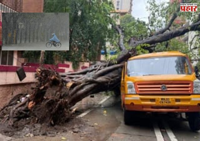 Mumbai heavy rain : मुंबईत अवघ्या सहा दिवसांत १० जणांचा मृत्यू; पाऊस, झाडे कोसळणे आणि घर दुर्घटनांनी वाढवली चिंता