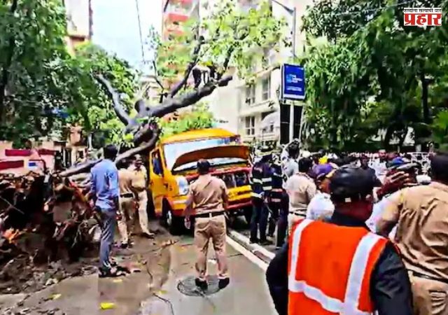 Chembur Bus Accident : चेंबूरमधील झाड दुघर्टनेेचे स्थायी समितीत तीव्र पडसाद