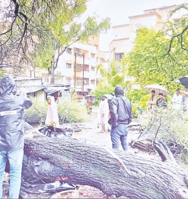 नेटीझन्सकडून उथळपणाचा कळस