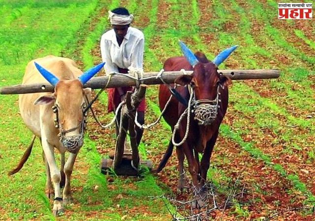 शेतीविषयक अभ्यास दौरे