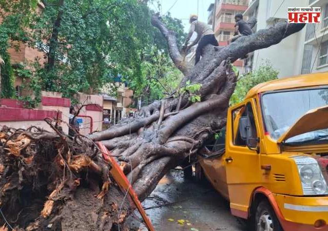 Chembur Tree Collapse : चेंबूरच्या झाड दुर्घटनेच्या अहवाल सत्ताधाऱ्यांनाच अमान्य