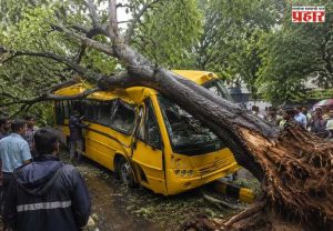 Chembur Tree Incident : चेंबूर झाड दुर्घटना: रस्ते आणि उद्यान विभागाला क्लीन चिट