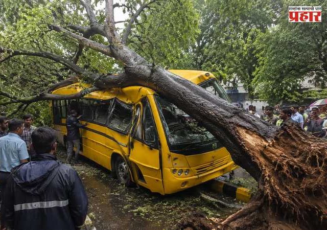 Chembur tree collapse : झाड दुघर्टनाप्रकरणी दोन रस्ते अभियंत्यांवरील निलंबन कारवाईमुळे अभियंते नाराज