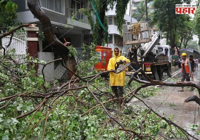 Chembur Tree Collapse : चेंबूर झाड दुर्घटनेची त्रयस्थ एकसदस्यीय समितीमार्फत होणार सखोल चौकशी