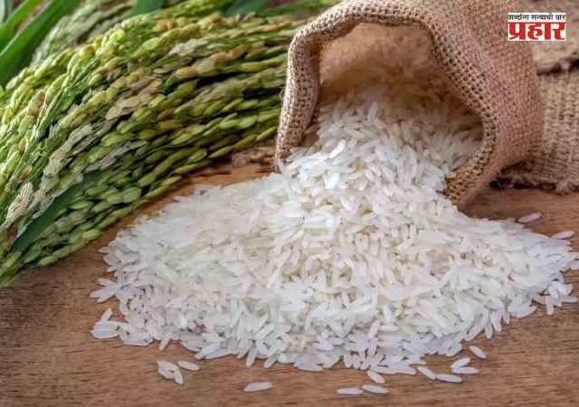Diet Tips : Weight Loss साठी तांदूळ खावा की गहू ?