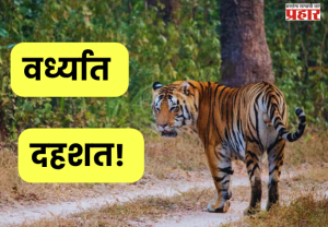 Panic in Wardha : वर्ध्यात दहशत! १० गावांत हाय अलर्ट जारी; वनविभाग ॲक्शन मोडमध्ये