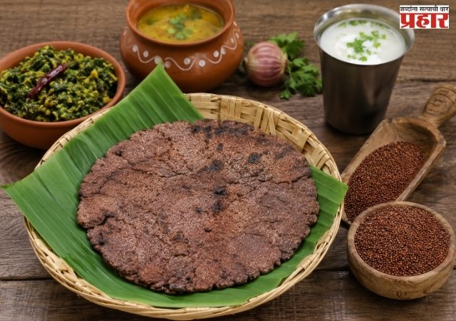 नाचणीची भाकरी रोज खाणे योग्य आहे का? कॅलरी, प्रोटीन आणि फायद्यांची माहिती