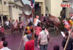 Kolhapur Bull Incident Video : कोल्हापुरात बैलजोडी शर्यतीत थरार! बिथरलेला बैल जमावात घुसला अन् थेट...