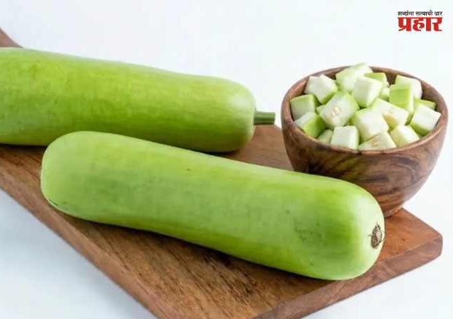 Weight Loss Tips : वजन कमी करायचंय पण चवीशी तडजोड नको ? दुधी भोपळ्यापासून बनवा हे ४ भन्नाट पदार्थ