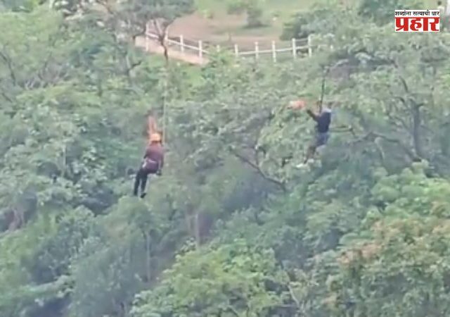 Zipline Rescue : तोरणमाळच्या झिपलाईनवर थरार! ३,५०० फूट खोल दरीवर पर्यटक अडकला, अखेर सुखरूप सुटका