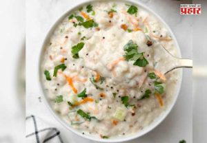 Healthy Food Oats Curd Rice : ओट्स दही भात, एक चविष्ट आणि आरोग्याला लाभदायी पदार्थ