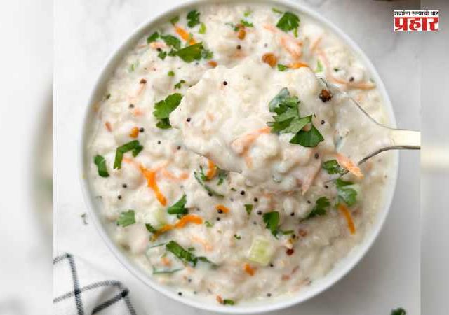 Healthy Food Oats Curd Rice : ओट्स दही भात, एक चविष्ट आणि आरोग्याला लाभदायी पदार्थ