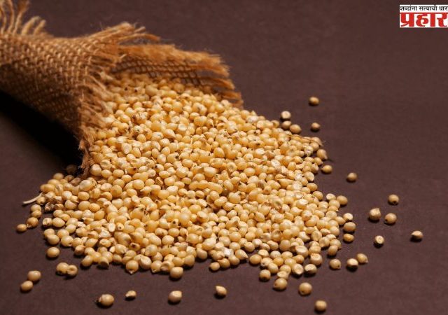 Agriculture News : ज्वारी खरेदीस ३१ ऑगस्टपर्यंत मुदतवाढ; शेतकऱ्यांना मोठा दिलासा