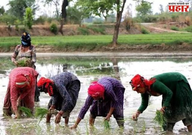 महिला शेतकऱ्यांच्या श्रमाला कायद्याचे कवच