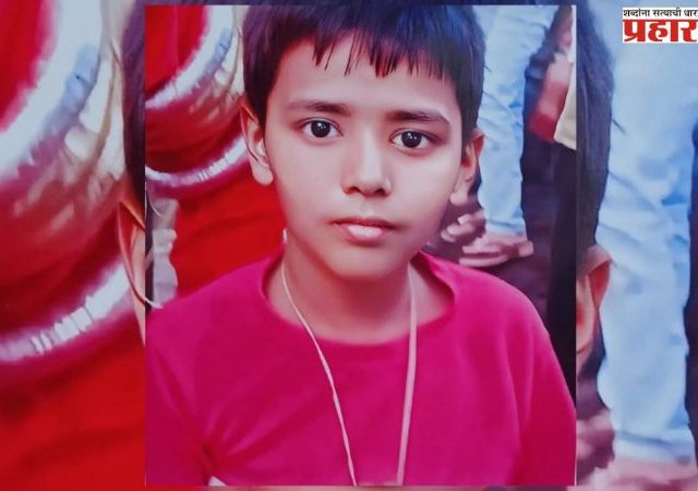 Dog Attack : रेबीजमुळे चिमुकल्या समर्थ स्वामीचा दुर्दैवी मृत्यू; भटक्या कुत्र्यांवर कारवाईची मागणी