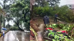 Tree Fall in Santacruz : सांताक्रुझमध्ये झाड पडून ८ जण जखमी