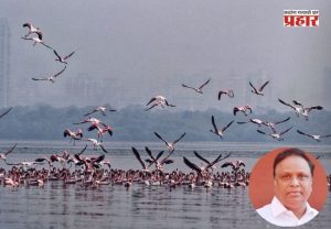 Ashish Shelar : भांडूप पक्षी उद्यानासाठी 'डीपीडिसी'मधून ४५ कोटी