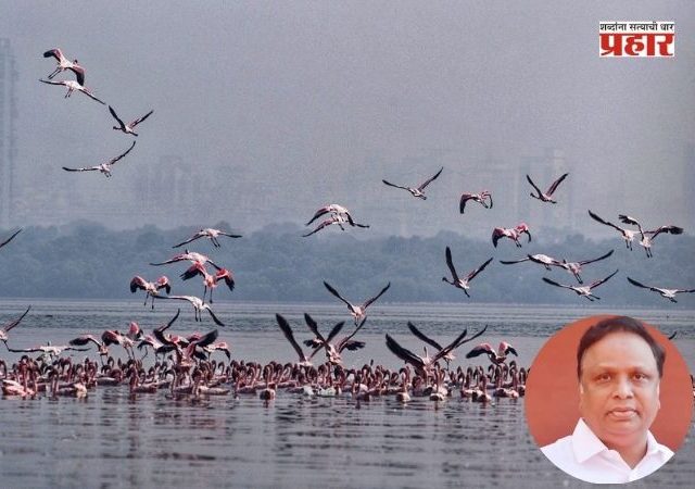 Ashish Shelar : भांडूप पक्षी उद्यानासाठी 'डीपीडिसी'मधून ४५ कोटी