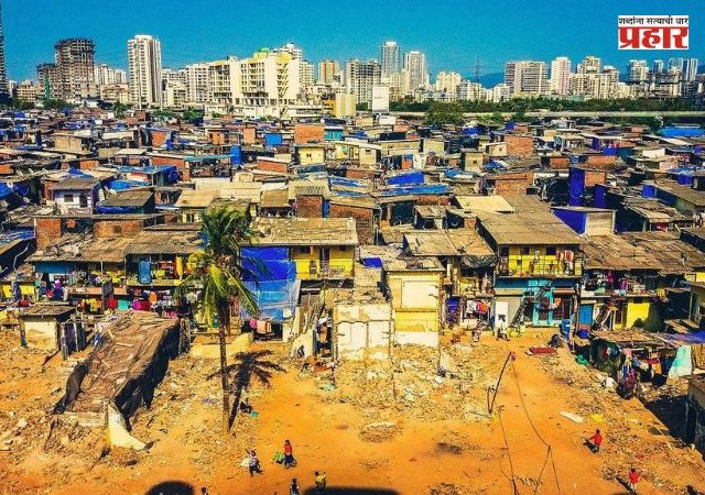 Dharavi Development Project : धारावी विकास प्रकल्पांत तब्बल ८ हजार झाडे होणार बाधित