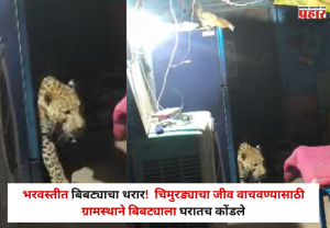 Nandurbar : भरवस्तीत बिबट्याचा थरार! चार जणांवर हल्ला; चिमुरड्याचा जीव वाचवण्यासाठी ग्रामस्थाने बिबट्याला घरातच कोंडले
