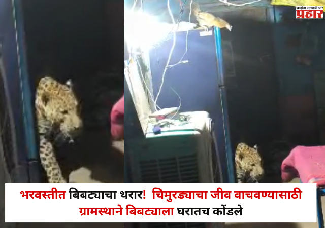 Nandurbar : भरवस्तीत बिबट्याचा थरार! चार जणांवर हल्ला; चिमुरड्याचा जीव वाचवण्यासाठी ग्रामस्थाने बिबट्याला घरातच कोंडले