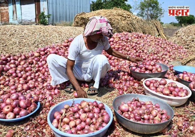 Onion Farmers : केंद्र सरकारकडून कांदा उत्पादकांना दिलासा