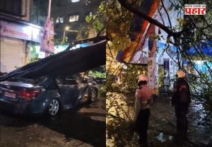 Dadar Tree Collapse : दादरमध्ये भलंमोठं झाड कोसळलं! प्लाझाजवळ पार्क केलेल्या कारचा चक्काचूर; अग्निशमन दलाकडून मदतकार्य सुरू