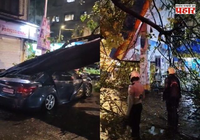Dadar Tree Collapse : दादरमध्ये भलंमोठं झाड कोसळलं! प्लाझाजवळ पार्क केलेल्या कारचा चक्काचूर; अग्निशमन दलाकडून मदतकार्य सुरू