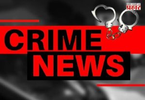 Nashik : माणुसकी संपली ? चिकनमध्ये विष टाकून २१ कुत्र्यांची अन् २ मांजरींची हत्या ; नाशिक जिल्ह्यात खळबळ