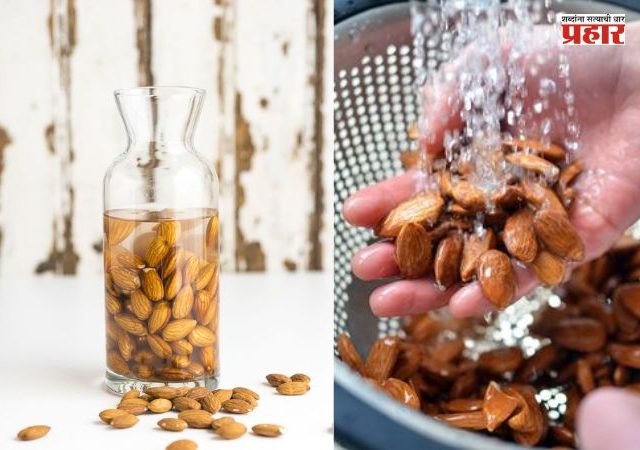 Soak Almonds : दिवसाची सुरुवात भिजवलेल्या बदामाने का करावी? जाणून घ्या आरोग्यासाठीचे ७ जबरदस्त फायदे