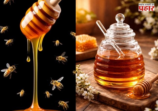 Honey Benefits : रोज मध खाल्ल्याने शरीराला मिळतात 'हे' जबरदस्त फायदे; जाणून घ्या तज्ज्ञ काय सांगतात