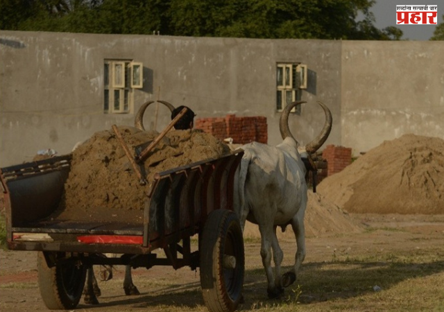 Ahilyanagar: सोनगाव परिसरात वाळूतस्करीला अभय ? ग्रामस्थांमध्ये उलटसुलट चर्चा