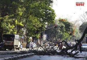 Tree Collapse Accident In Mumbai : धक्कादायक! मुसळधार पावसात आणखी एक बळी; आरे कॉलनीत तरुणाचा दुर्दैवी अंत