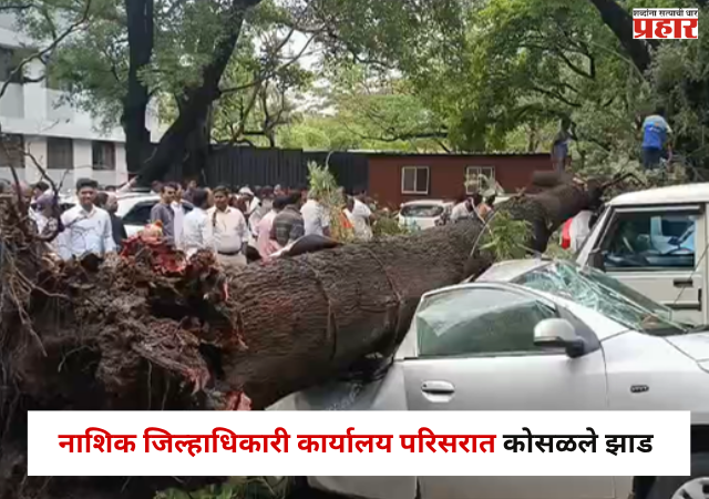 Nashik News : जिल्हाधिकारी कार्यालय परिसरात कोसळले झाड , ८ ते १० वाहनांचे नुकसान