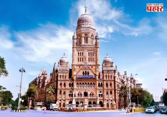 BMC : फेरीवाल्यांचा माल पकडून नेण्याच्या वाहनांवरच होतोय महापालिकेचा १२ ते १३ कोटींचा खर्च