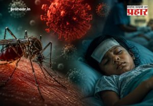 Chandipura Virus : गुजरातमध्ये 'चांदीपुरा' व्हायरसचा धुमाकूळ! २२ बालकांचा मृत्यू, १८४ संशयित रुग्ण; जाणून घ्या काय आहेत धोक्याची लक्षणे ?