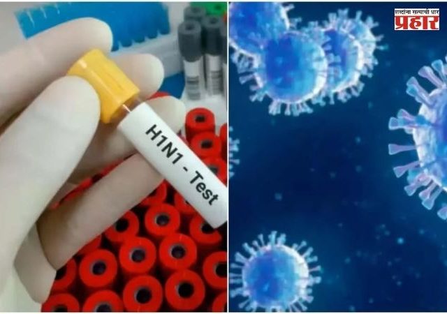 H1N1 Virus : H1N1 च्या रुग्णांमध्ये वाढ; तापासाठी पॅरासिटामॉल पुरेसे की अँटीव्हायरलची गरज? जाणून घ्या उपचार आणि धोक्याची लक्षणे