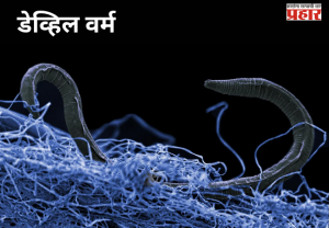 Devil Worm : पृथ्वीच्या गर्भातील गुप्त जगाचा चकित करणारा शोध; रहस्यमय 'डेव्हिल वर्म' आणि भूगर्भातील अथांग जीवसृष्टी