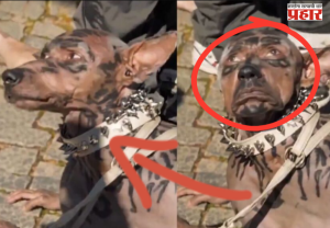 Viral Japanese Man Becomes Dog : जपानी तरुणाने 'कुत्रा बनण्यासाठी' २२० कोटी खर्च केल्याचा दावा व्हायरल; नेमके सत्य काय?