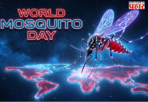 World Mosquito Day : जागतिक मच्छर दिन २०२६; जाणून घ्या इतिहास, महत्त्व आणि बचावाचे सोपे उपाय!