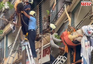 Bhandup Incident : दहाव्या मजल्यावरून पडली अन् झाडात अडकली; भांडुपच्या घटनेचा VIDEO पाहून धक्का