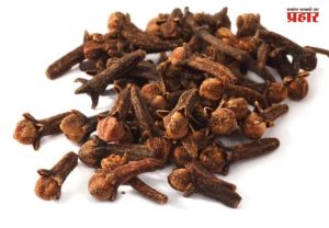 Clove water : स्वयंपाक घरातील हा पदार्थ पाण्यात मिसळा; २१ दिवसात चेहऱ्यावर फरक दिसेल