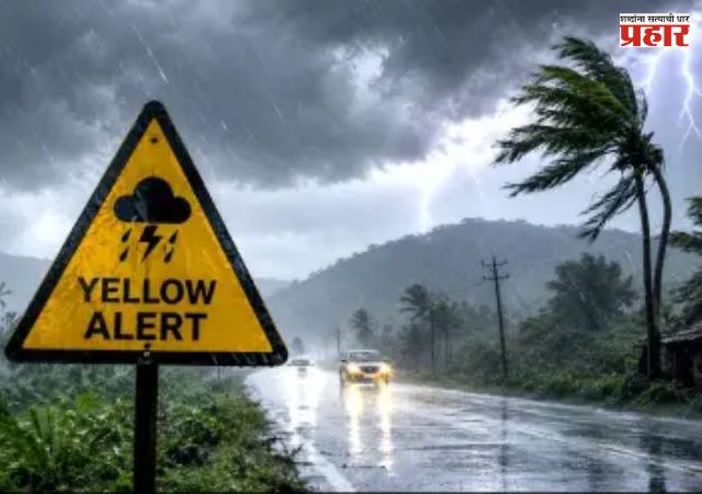 Maharashtra Weather Update :  महाराष्ट्रात २० ऑगस्टला पाऊस बरसणार; ४ जिल्ह्यांना हवामान खात्याचा यलो अलर्ट